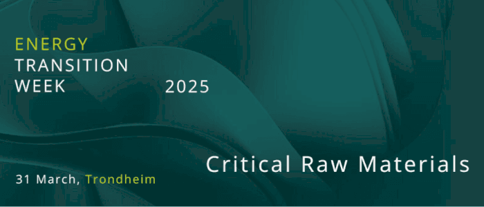 Workshop: Critical Raw Materials