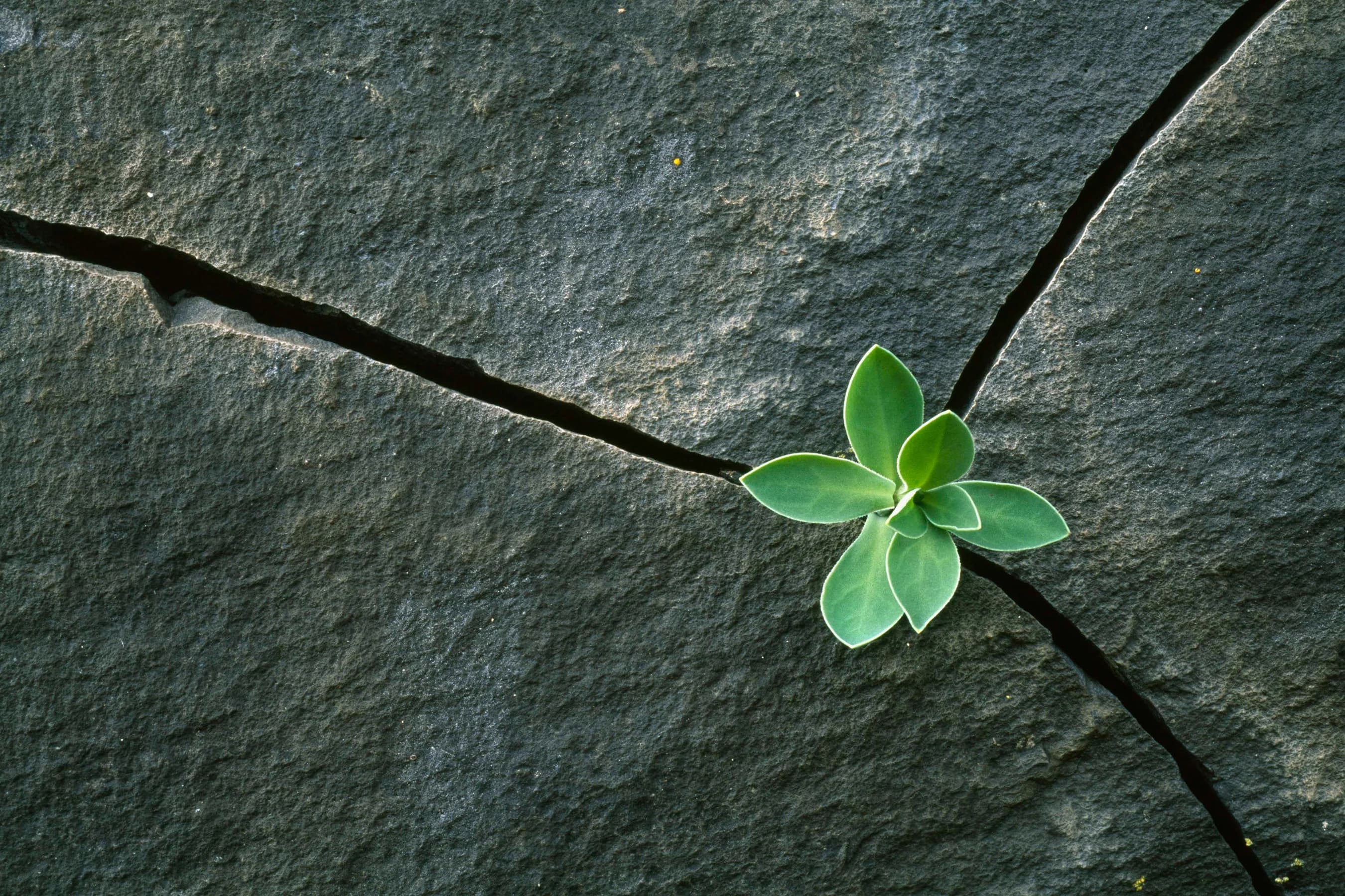 Bærekraftsrapportering 2025 – slik kommer du i gang